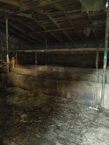 Torpaq sahələrinin satışı: Kənd təsərrüfatı — 3