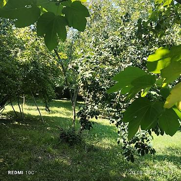 Продажа участков: 25 соток, Купчая — 2
