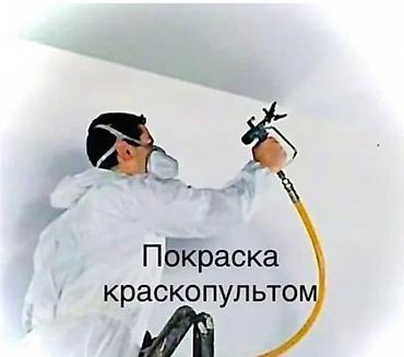 Покраска: Покраска потолков, Покраска стен, На водной основе, Больше 6 лет опыта — 1