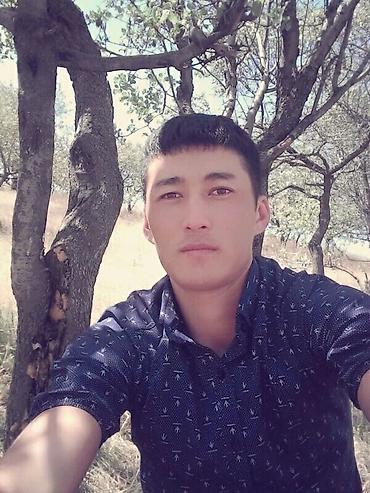 Разнорабочие: Услуги разнорабочего/помощника - Помощь на стройке и ремонте — 4