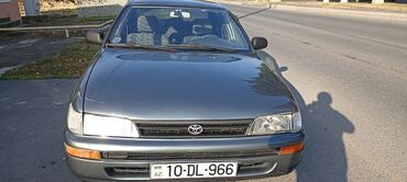 Toyota: Toyota Corolla: 1.6 l | 1997 il Sedan