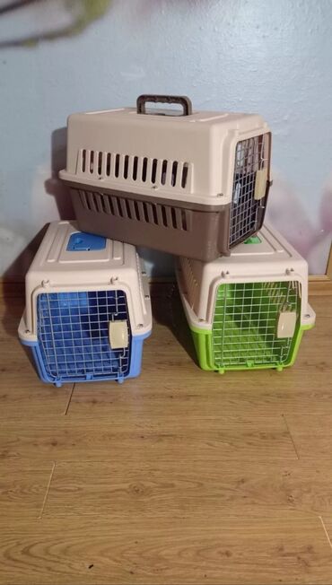 домашние котята: Пластиковые переноски боксы размер 2 и 1 для транспортировки и