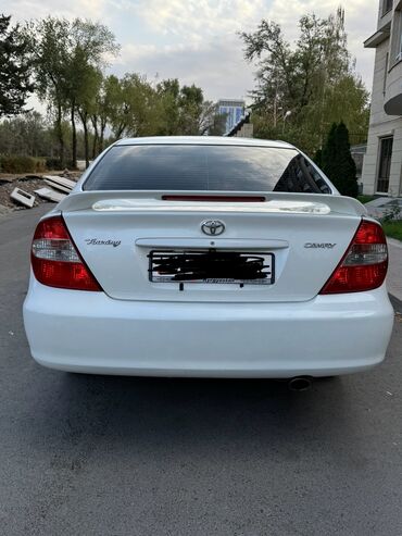 амортизаторы каяба на камри 40: Toyota Camry: 2003 г., 2.4 л, Автомат, Бензин, Седан
