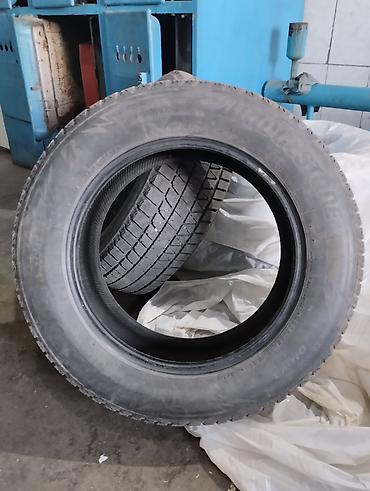blizzak: Зимние шины Bridgestone Blizzak DM‑V2 (2 шт.) - Тип: зимние — 2