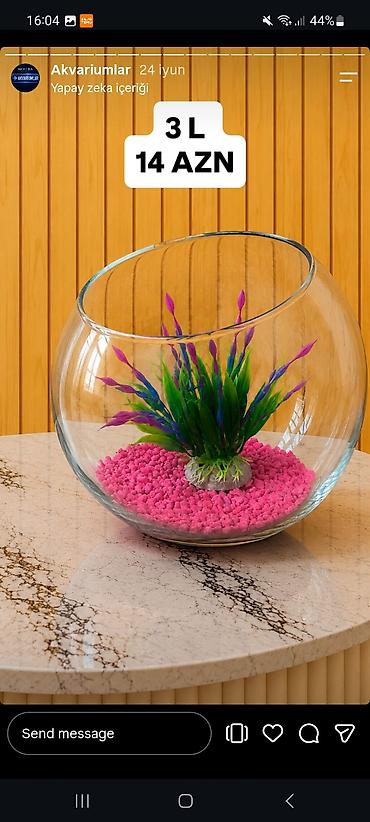 akvarium balıqlar: Yumru akvarium, Boş, 1 l — 4