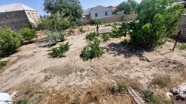 Torpaq sahələrinin satışı: 12 sot, Tikinti, Maklerlər narahat etməsin, Kupça (Çıxarış) — 7