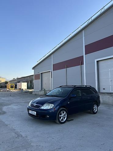 кок талаа: Toyota Corolla: 2004 г., Кол менен иштөөчү, Универсал — 2