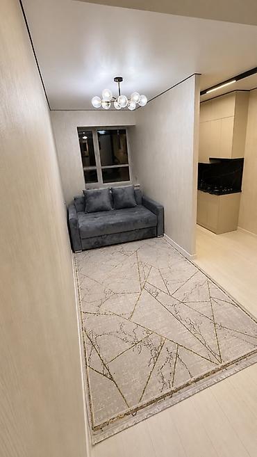 пользовались: 1 комната, 29 м², ул. Горького / Алматинка Элитка, 8 этаж, Евроремонт — 4