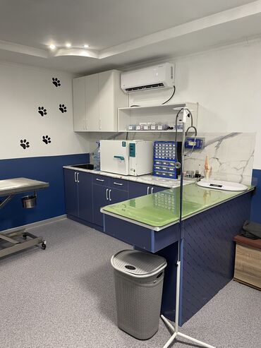 Услуги ветеринара: Ветеринарная клиника 🐱🐶🐏 Лечение домашних животных 🩹🩺 - Хирургическое — 3