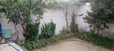 Bağ evlərinin satışı: Wuvelanda baglar massivi,denize,aftobus dayanacaqina,mir movsum aga — 6