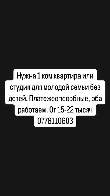 сдаю квартиру аламедин рынок: Студия, 20 м², С мебелью