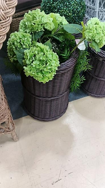 plants: Плетёные кашпо для комнатных и уличных растений,плетение на заказ — 1