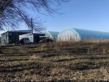 Продажа участков: 300 соток, Для бизнеса, Тех паспорт — 11