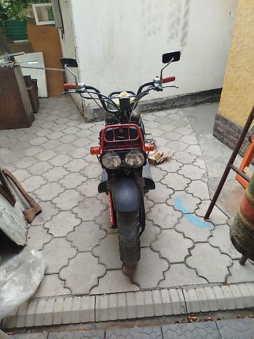 devo tiko: Скутер Honda Zoomer/Ruckus (50 см³водянное охлаждение только после — 1