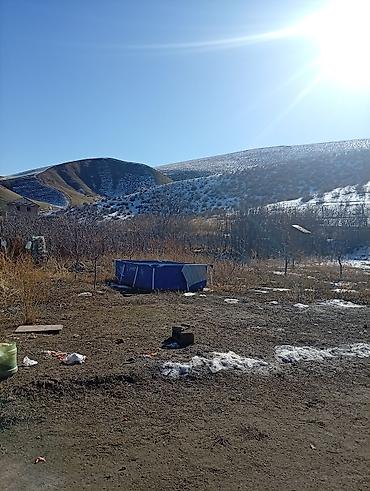 Продажа коттеджей и домов: Дача сатылат село сары жон жакта суу палив суу жер 5 сот и 4сот — 8