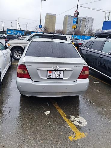 Toyota: Toyota Corolla: 2006 г., 1.6 л, Автомат, Бензин — 3