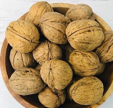 купить картошку с доставкой: Куплю гиречиски орехи — 6