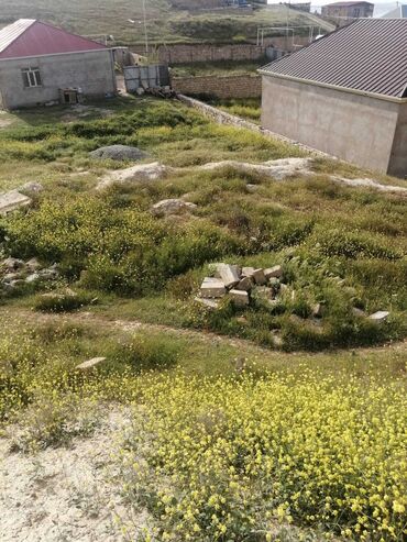 Torpaq sahələrinin satışı: Tikinti, Mülkiyyətçi, Kupça (Çıxarış)