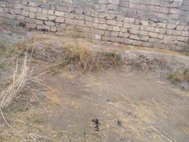 şahdağ istirahət mərkəzi nabran: 15 sot, Bələdiyyə