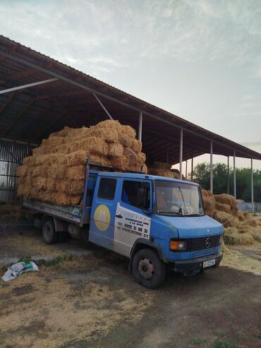 продаю или меняю мерс 814: Грузовик, Mercedes-Benz, Дубль, 7 т, Б/у