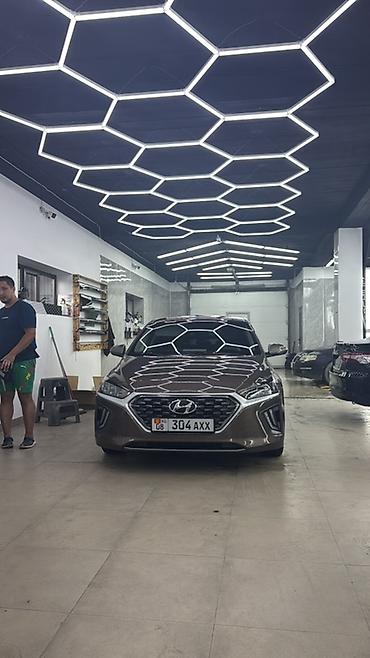 Hyundai Ioniq: 2019 г., 1.6 л, Автомат, Гибрид, Хэтчбэк