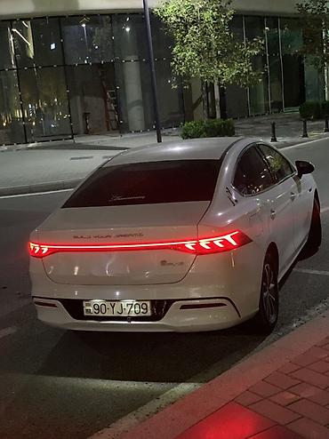 buggy satisi: Yango profili aclır serfikatsız buraxılışsız kim istəyirs yazsın — 1