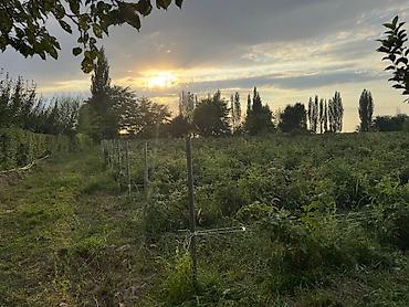 ошский рынок место: 🏡 ПРОДАЁТСЯ ДОМ — 47 СОТОК по документу! Район Сокулук село Саз — 10
