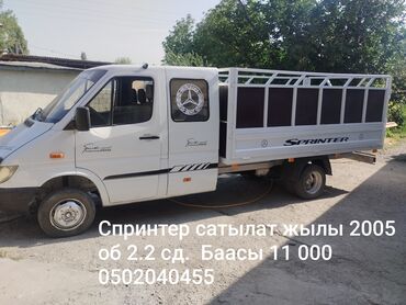 рекс матор: Жеңил жүк ташуучу унаа, Mercedes-Benz, Дубль