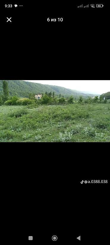 şəkidə torpaq: 50 sot, Kənd təsərrüfatı, Mülkiyyətçi, Kupça (Çıxarış) — 6