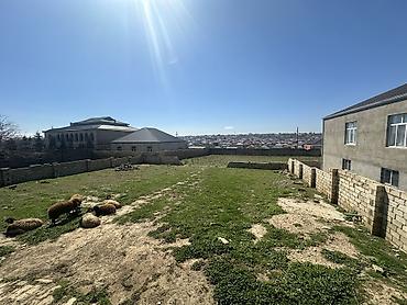 a frame: 6 sot, Tikinti, Maklerlər narahat etməsin, Kupça (Çıxarış) — 7