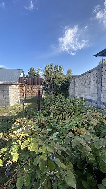 Коммерциялык кыймылсыз мүлктү сатуу: 5 бөлмө, 128 м², 5 соток, Ак-Жол, Кыймылсыз мүлк агенттиги — 9