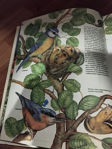 local guide program: Энциклопедия живой природы — крупный иллюстрированный справочник о — 4