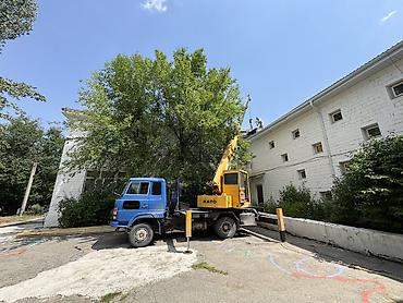 кран кемин: Стрела 21 м, 5000 т, Борт 5000 кг — 1