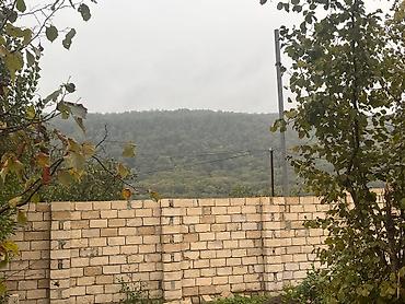 çuxuryurd ev satılır: 16 sot, Tikinti, Mülkiyyətçi, Kupça (Çıxarış) — 4