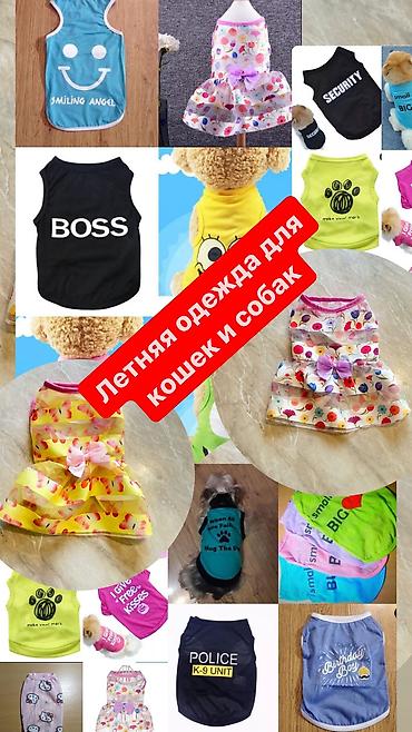 Зоотовары: Одежда для кошек и собак. Все НОВОЕ РАЗМЕР И ЦЕНА УКАЗАНЫ НА ФОТО — 18