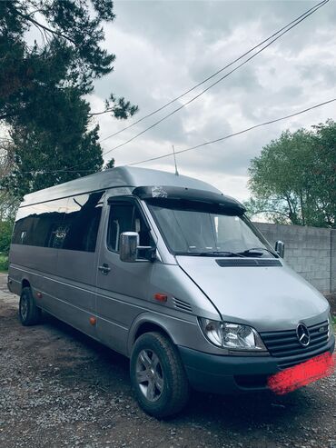 Mercedes-Benz: Mercedes-Benz Спринтер: 2004 г., 3 л, Механика, Дизель