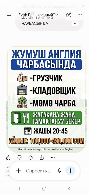 вакансия грушик: Требуется Сборщик урожая, Оплата: Почасовая, Официальное трудоустройство — 1