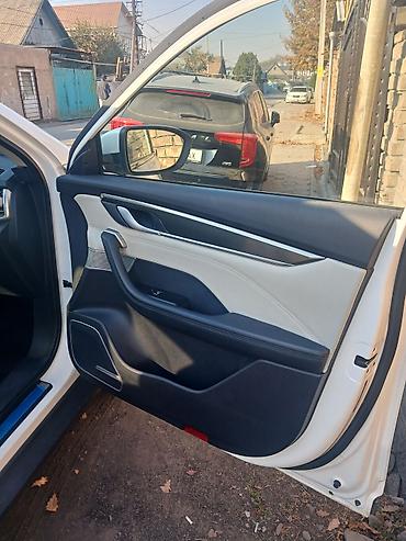 hongqi ehs9: Weltmeister EX5, 2020 г. — 4