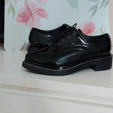 bordo cipele: Oxfords, 37