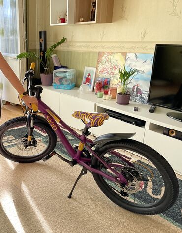 тсунами велосипед: Продаю детский велосипед SILVERBACK SKID 20 SUSPENSION в отличном