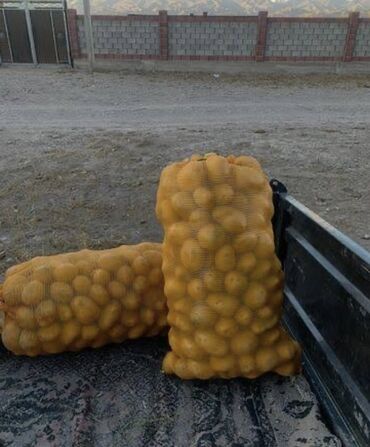 упаковочный пакеты: Картошка