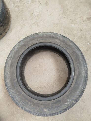 шины зимние 205 60 16: Шины 205 / R 16, Лето, Б/у, Запаска, Япония, Hankook