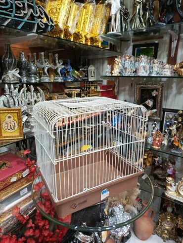 Dovşanlar: Dovşan yemləri 1-kilosu 2azn Dovşan balaları 5azn topdan Tək tək 9-azn — 11