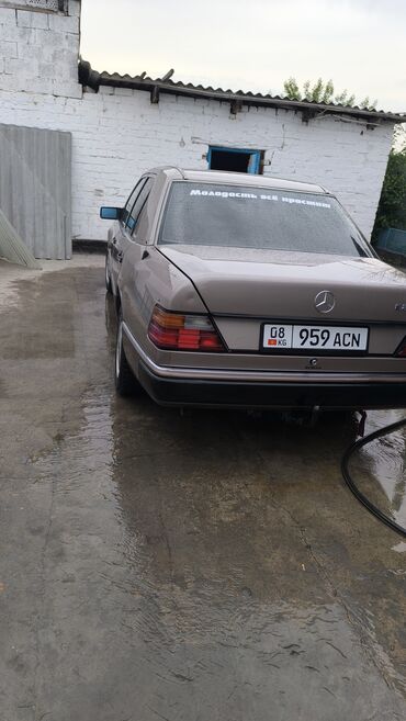 Mercedes-Benz: Mercedes-Benz W124: 1994 г., 2 л, Механика, Бензин