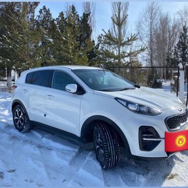 продаю номер авто: Kia Sportage: 2018 г., 2 л, Автомат, Дизель, Кроссовер