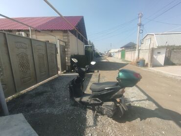 бампер хонда аккорд торнео: Скутер түрү M8, 125 куб. см, Бензин, Колдонулган