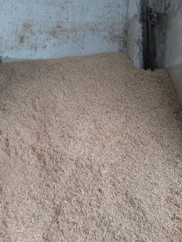 поддон цена деревянный: Опилка сатылат,кургак Бир портер чыгат 4000 сом,столярканыкы