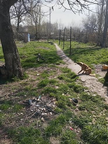 твой дом: 8 соток — 1