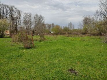 Torpaq sahələrinin satışı: 12 sot, Tikinti, Mülkiyyətçi, Kupça (Çıxarış) — 3