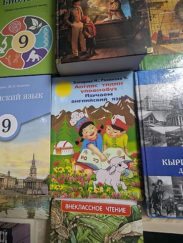 Другие учебники: Набор учебников и книг, преимущественно для 9 класса. В комплект — 11